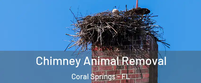 Chimney Animal Removal Coral Springs - FL