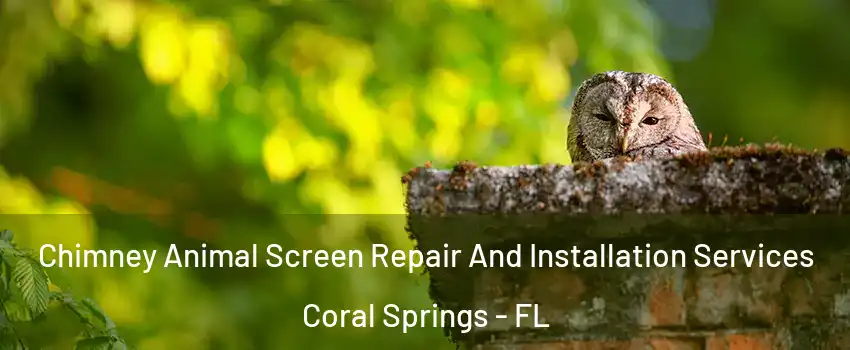  Chimney Animal Screen Repair And Installation Services Coral Springs - FL