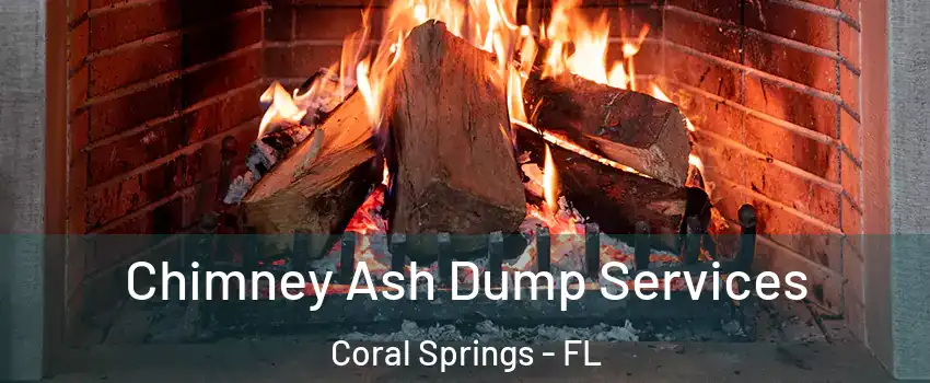  Chimney Ash Dump Services Coral Springs - FL