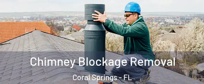  Chimney Blockage Removal Coral Springs - FL