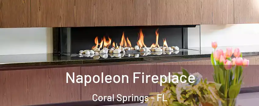  Napoleon Fireplace Coral Springs - FL